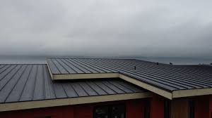 Best Green or Eco-Friendly Roofing Solutions  in Sunrise, FL